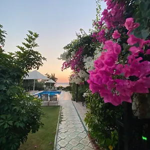 Suna House Konukevi Söğüt